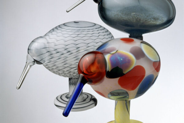 Oiva Toikan Kiwi-lintuja